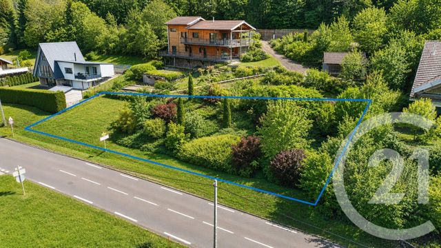 terrain - MONTPERREUX - 25