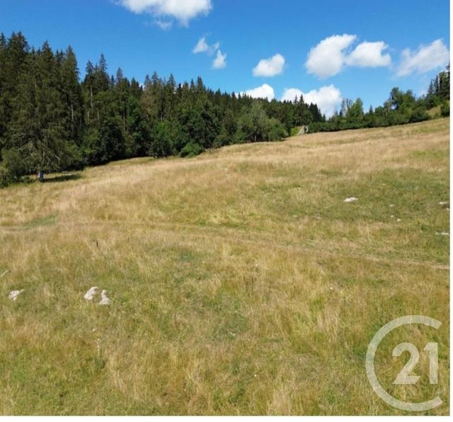terrain à vendre - 708.0 m2 - MONTBENOIT - 25 - FRANCHE-COMTE - Century 21 Avenir Immobilier