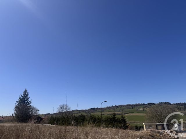 terrain - LONGEVILLES MONT D OR - 25