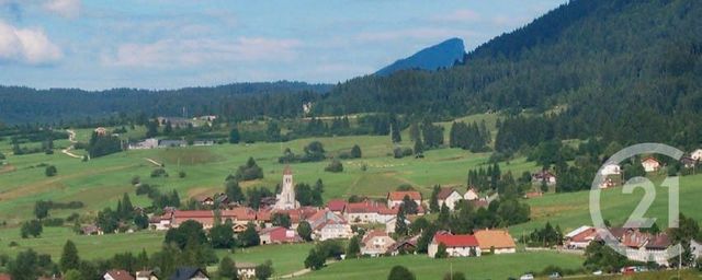 Appartement T3 à vendre - 3 pièces - 56.31 m2 - LONGEVILLES MONT D OR - 25 - FRANCHE-COMTE - Century 21 Avenir Immobilier