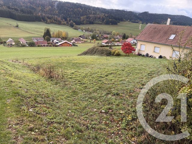 terrain - LES ALLIES - 25